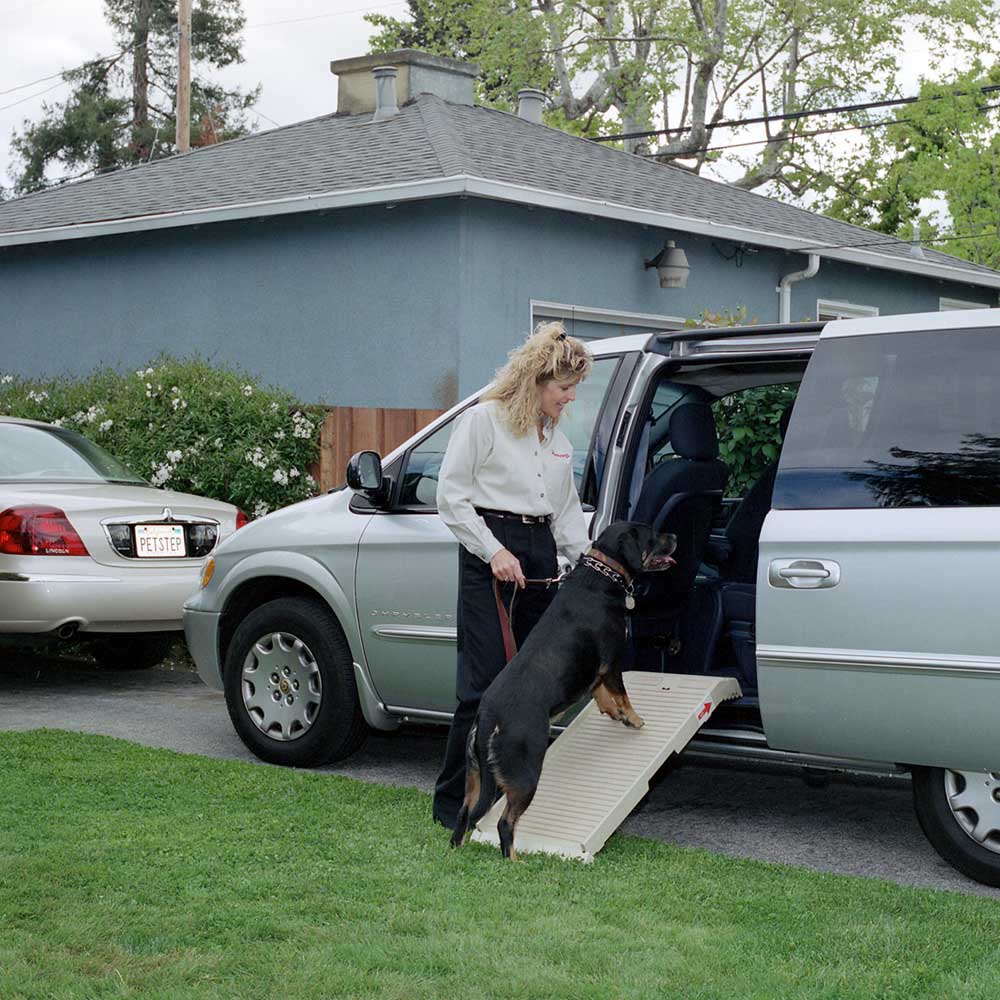 dog ramp for van